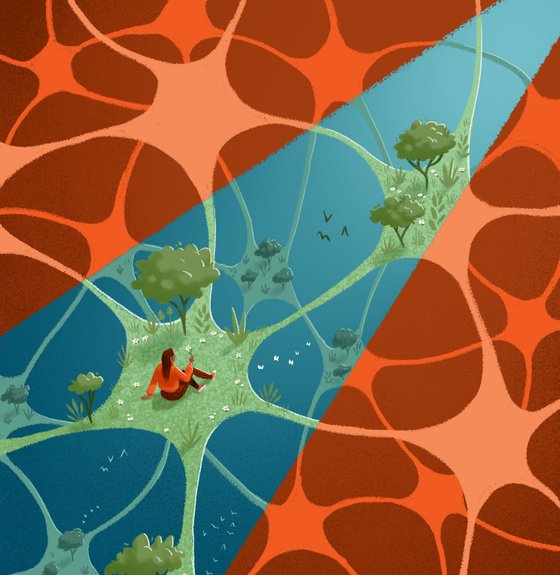 neurons.jpg
