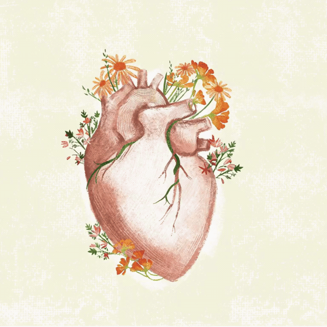 heart-web.gif