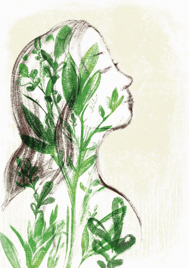 vines-web.gif